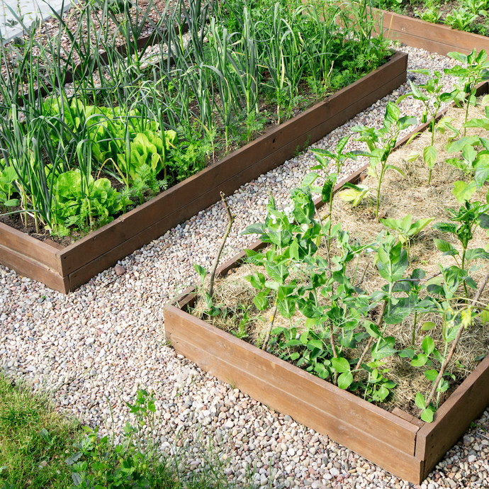 The Benefits of Raised Bed Gardening