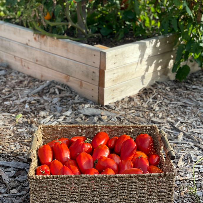 When Should You Start Thinking About Your Spring and Summer Garden?