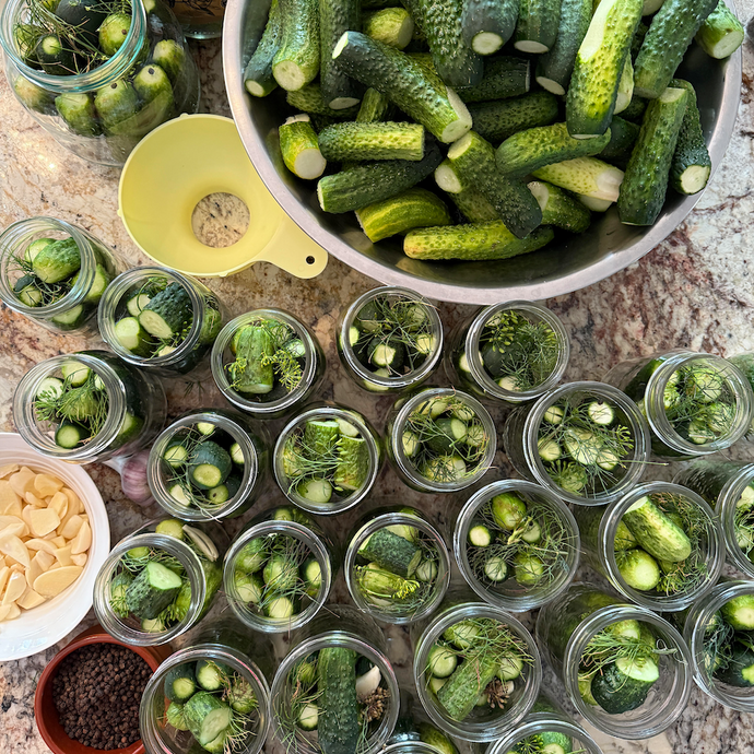 Quick & Easy Homemade Dill Pickles Recipe