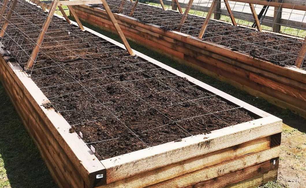 Backyard Raised Bed Garden Construction Installation and Planning