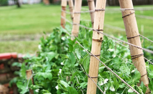 Load image into Gallery viewer, Backyard Garden Bed Bamboo Trellis Construction and Installation

