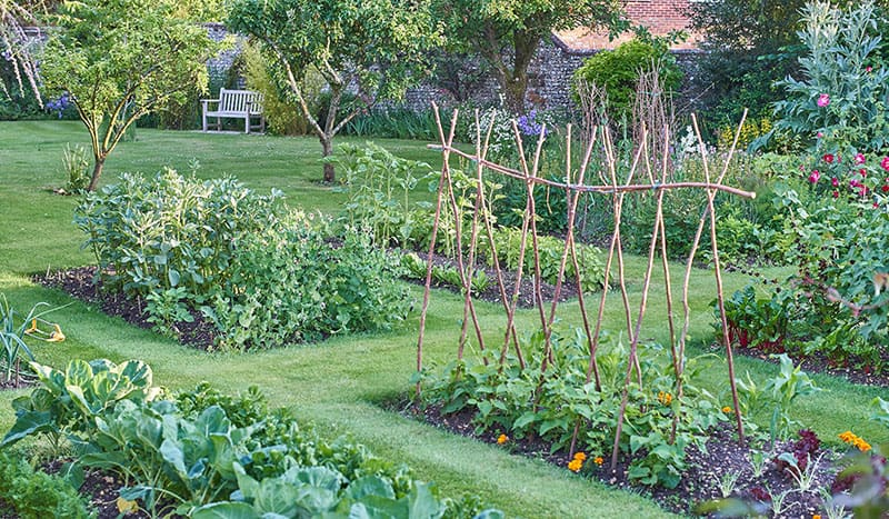 Backyard  In-ground Veggie Garden Construction and Installation